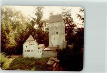 8577 Hagenwil am Nollen Schönholzerswilen Patent AK Schloss