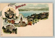 8802 Bendlikon BOAKC Villa Meyer Schulhaus Lithographie