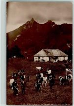 1663 Gruyères - Parturage