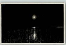 8808 Pfäffikon SZ 1916 Foto AK Sonnenuntergang Insel Lützelau Foto Gaberell