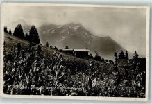 Villars VD - Bauernhof