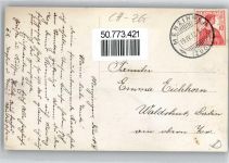 6313 Menzingen - Carneval , Foto-Karte