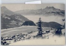1854 Leysin - Gesamtansicht, Dent du Midi