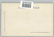 1854 Leysin - Gesamtansicht, Dent du Midi