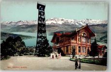 8143 Uetliberg 1908 Foto AK Gasthaus Uetliberg Aussichtsturm