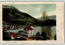 6354 Vitznau 1903 - Parkhotel