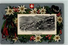 9103 Schwellbrunn Prägedruck Passepartout Edelweiss Rucksack Lithographie