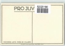 Zürich sign. Schlatter Vacherie Lintz Pres de Villars Pro Juventute Schweiz Künstlersteindruck