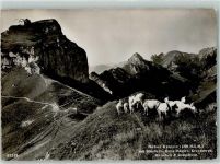Hoher Kasten - Ziegen Staubern Kreuzberge