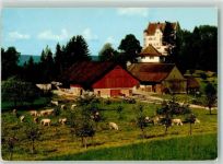 9507 Stettfurt - Kuhherde Schloss Sonnenberg