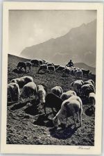 7220 Schiers - Schäfer mit Herde