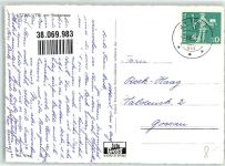 8592 Uttwil 1963 Foto AK Uferpartie Schwäne