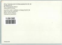 Brünig-Tenderlokomotive für Adhäsionsbetrieb G 3/4 201-208