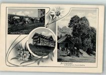 8898 Tannenboden Flumserberg 1908 Foto AK Esel Gepächtransport Schlitten Kurhaus Tannenboden