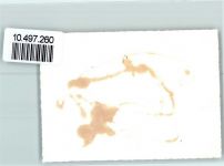 l´Eglise FOTO KEINE AK Kirche Neujahr Foto 10cm x 7cm, rückseitig Haftspuren