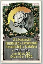 8500 Frauenfeld 1903 Gebrauchsspuren Ausstellung für Land-Forstwirtschaft und Gartenbau Lithographie