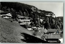 3803 Beatenberg 1969 Foto AK In der Weid