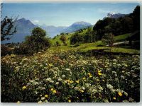 6375 Beckenried - Aktion gegen Atomkraftwerke Rigi-Hohfluh