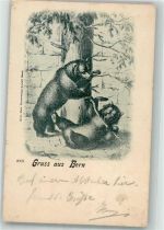 3000 Bern Berne 1900 - Kunstverlag Gebr. Metz 9008