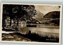 6442 Gersau Foto AK Seepromenade