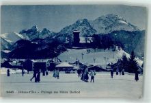 1660 Château-d´Oex 1912 - Patinage des Hotel Berthod Winter