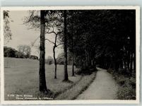 3000 Bern Berne - Elfenau