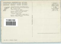 8000 Zürich 1939 - Schweizerische Landesausstellung Fahnen Schwören