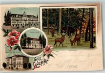 4900 Langenthal 1902 Gebrauchsspuren Hotel Bären Krankenhaus Schule Hirschpark Lithographie