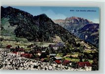 1833 Les Avants - Blühende Blumen Narzissen