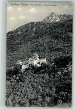 9490 Vaduz 1913 Foto AK Schloss