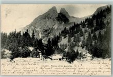 Les Jumelles 1904 - Taney