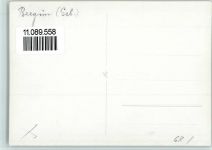 7482 Bergün Bravuogn