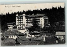 1338 Ballaigues 1907 - Hotel Aubepine
