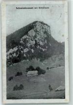 Rüttelhorn Gebrauchsspuren Schmiedenmatt