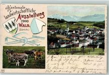 8636 Wald ZH 1900 - Kantonale landwirtschaftliche Ausstellung Kühe