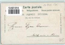 8636 Wald ZH 1900 - Kantonale landwirtschaftliche Ausstellung Kühe