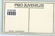 Bern Berne Ruine Landskron AK Pro Juventute Schweiz 1916 Künstlerkarte