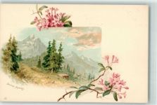 1920 Martigny Lithographie Dent de Morcles