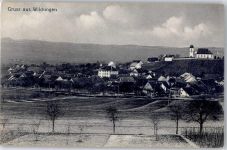 8217 Wilchingen 1928