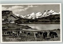 6064 Kerns Foto AK Melchseefrutt Titliskette Kühe