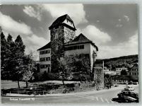 8500 Frauenfeld Foto AK LKW Auto Schloss