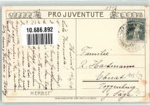 Zwerg sign. E. Kreidolf Herbst Pro Juventute Pro Juventute Schweiz Lithographie