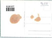 9058 Brülisau Gebrauchsspuren Fliegeraufnahme