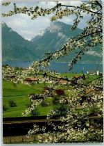 Spiez Werbung SBB Pro Infirmis Schweiz Werbe AK