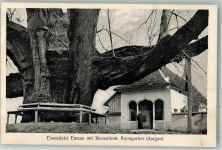 5620 Bremgarten AG Foto AK Einsiedelei Emaus mit Riesenlinde