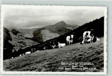 4438 Langenbruck - Schwengi Weid Kuhherde Passwang