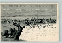 8330 Pfäffikon ZH 1902 Künstlerkarte Gruss aus- sign Bosshard AK