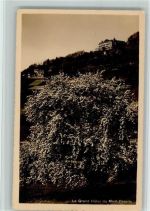 Mont Pelerin - La Grand Hotel du Monte Pelerin