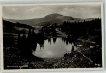 Gantrisch Foto AK Gantrischseeli Selibühl