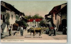 1248 Hermance - Rue du Nord Ochsenfuhrwerk